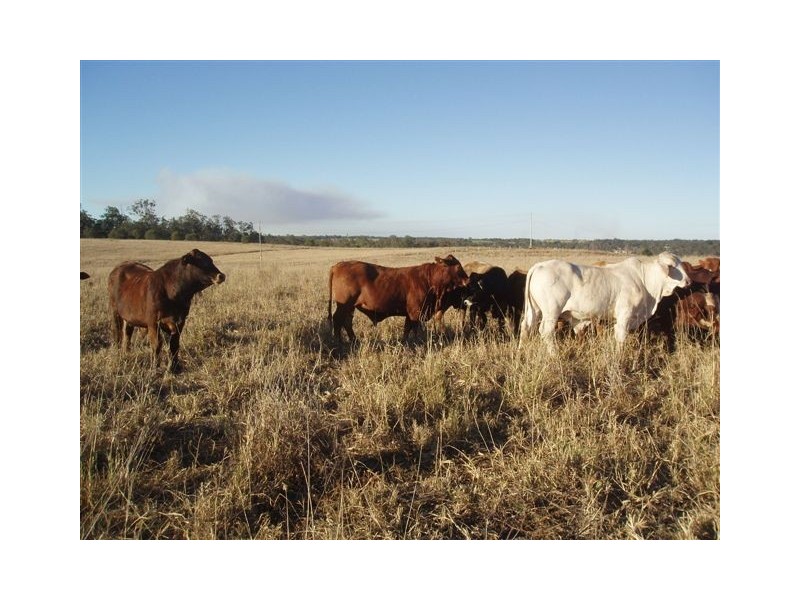 Mungar QLD 4650