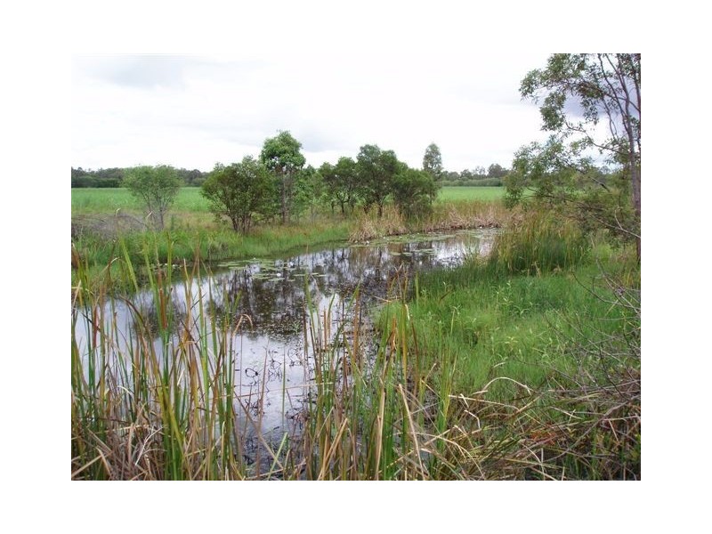 Lot 37 Burtons Road, Maryborough West QLD 4650