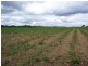 Lot 37 Burtons Road, Maryborough West QLD 4650
