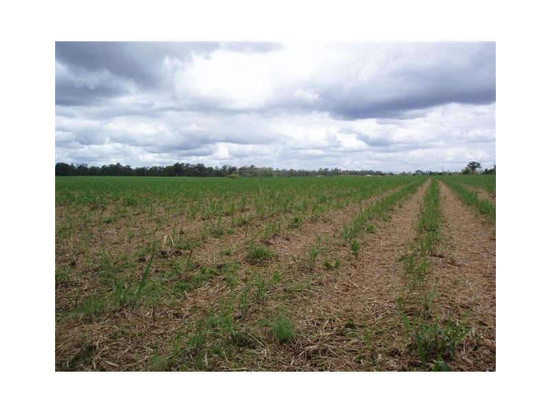 Lot 37 Burtons Road, Maryborough West QLD 4650