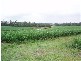 819 Yerra Road, Maryborough QLD 4650