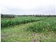 819 Yerra Road, Maryborough QLD 4650