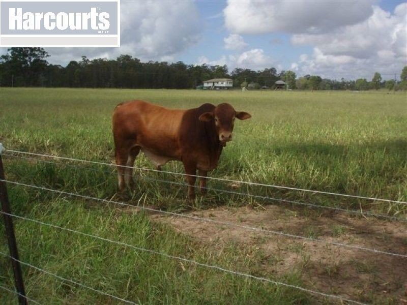 Mungar QLD 4650