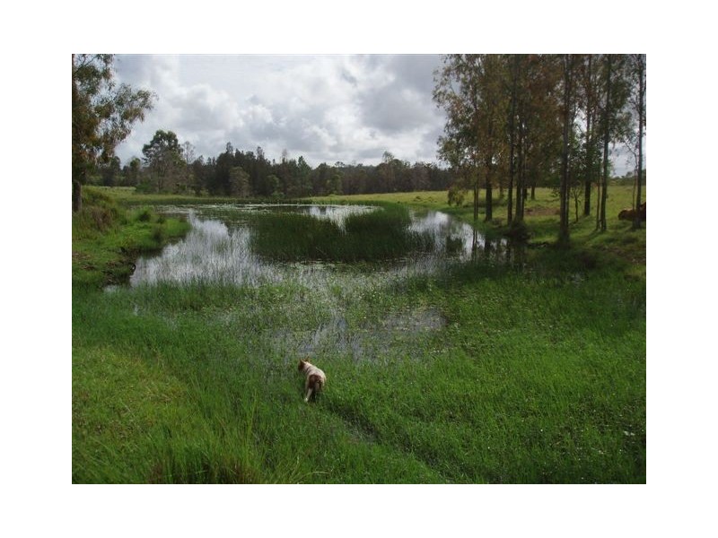 Mungar QLD 4650