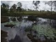 Mungar QLD 4650