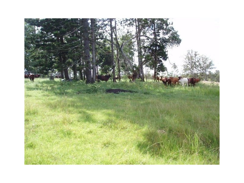 Maryborough West QLD 4650