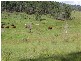 Maryborough West QLD 4650
