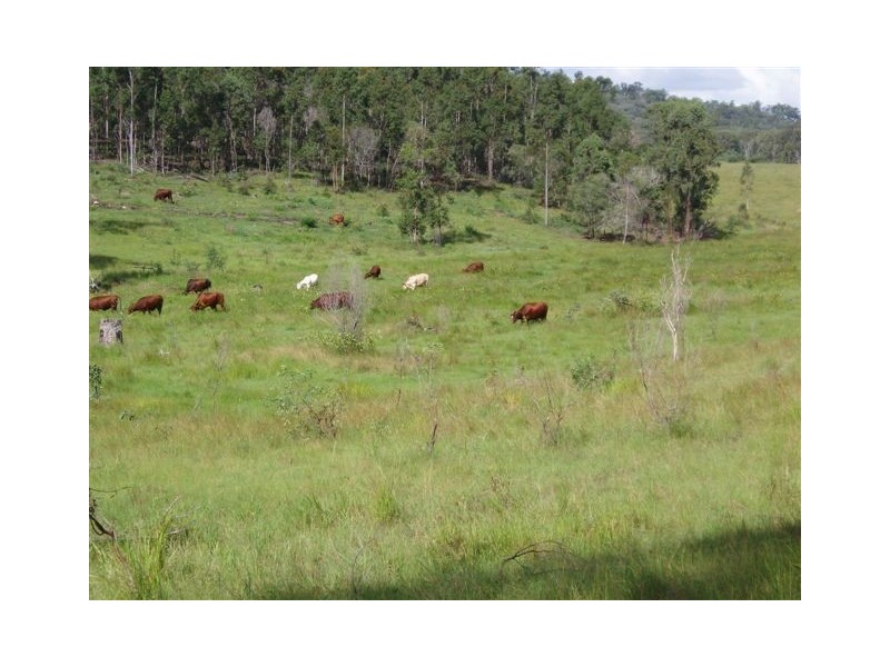 Maryborough West QLD 4650