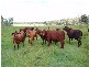 Maryborough West QLD 4650