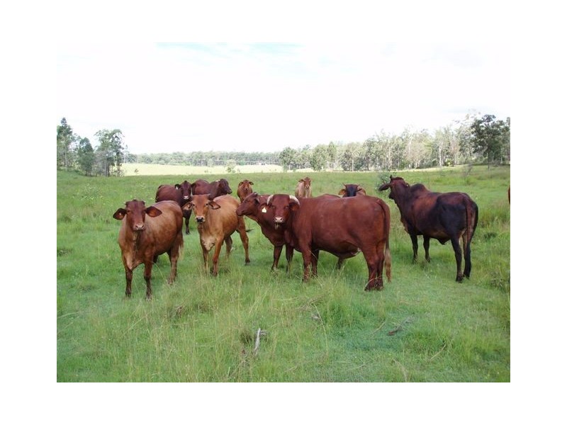 Maryborough West QLD 4650
