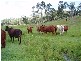 Maryborough West QLD 4650