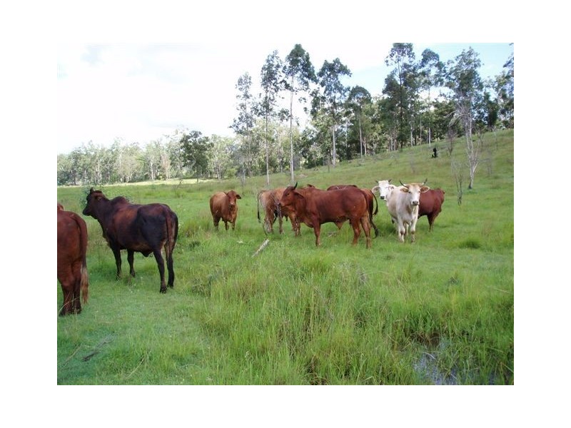 Maryborough West QLD 4650