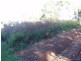 160 Perry Road, Magnolia QLD 4650