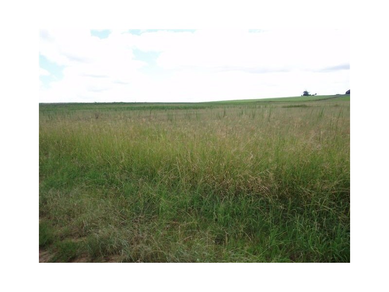 117 Smiths Road, Magnolia QLD 4650