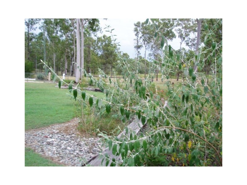 Lot 3 Mungar Road, Mungar QLD 4650