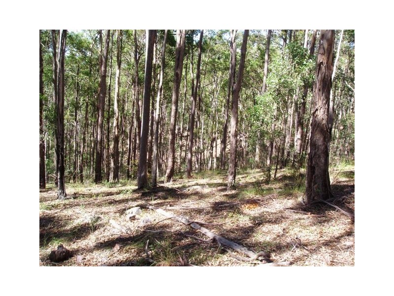 Lot 1 Howies Road, Tiaro QLD 4650