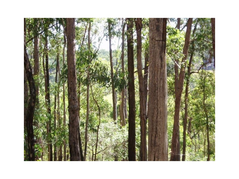 Lot 1 Howies Road, Tiaro QLD 4650