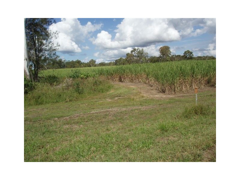 513 Nerada Road, Tinana QLD 4650