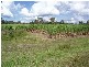 513 Nerada Road, Tinana QLD 4650
