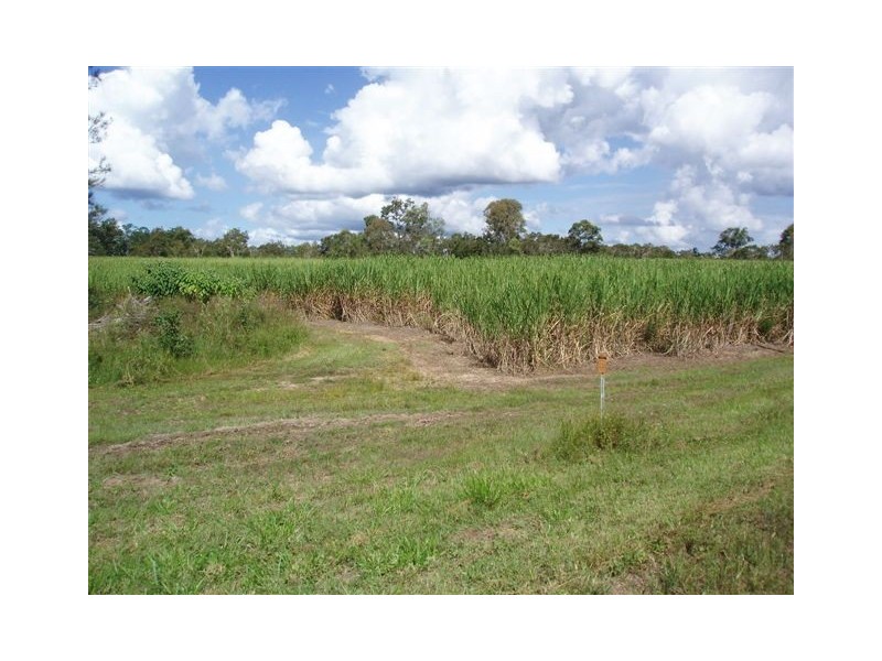 513 Nerada Road, Tinana QLD 4650