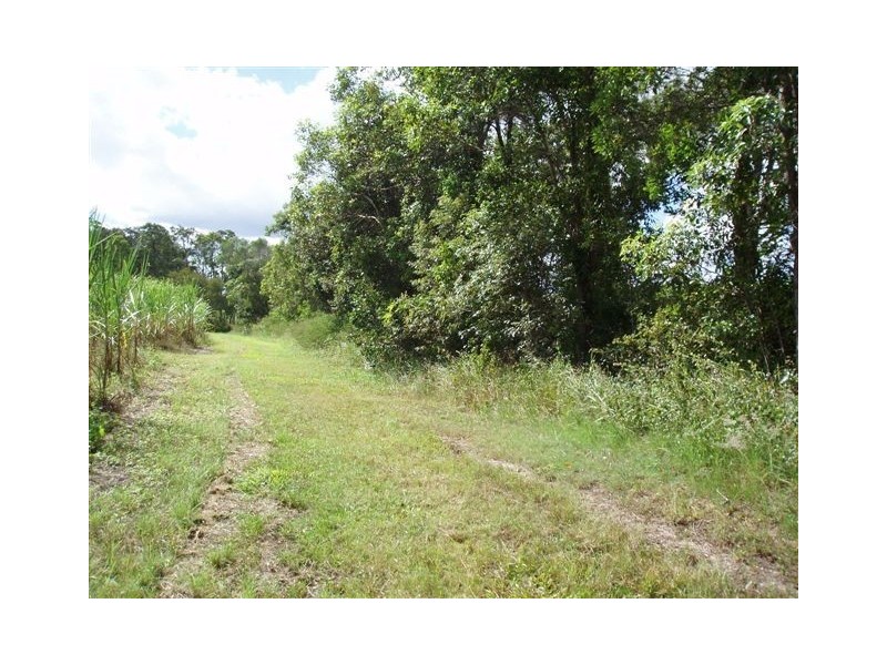 513 Nerada Road, Tinana QLD 4650