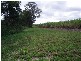 513 Nerada Road, Tinana QLD 4650