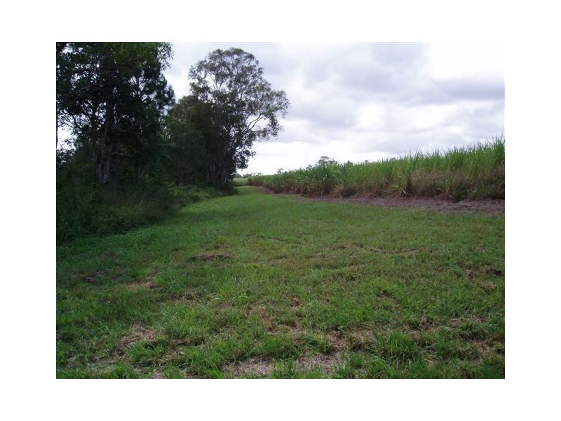 513 Nerada Road, Tinana QLD 4650
