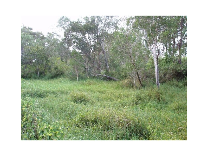 513 Nerada Road, Tinana QLD 4650