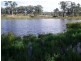 1203 Woolooga Road, Tiaro QLD 4650