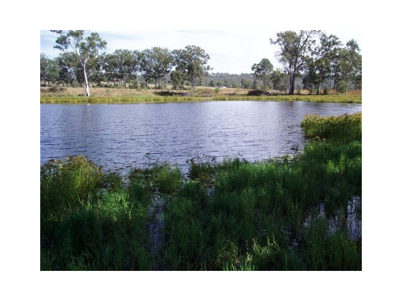 1203 Woolooga Road, Tiaro QLD 4650