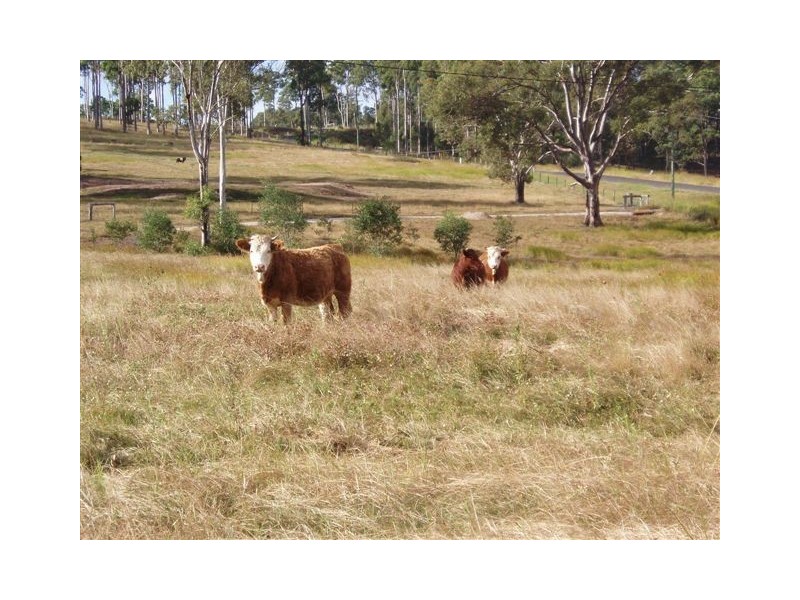 175 Mary View Drive, Maryborough West QLD 4650