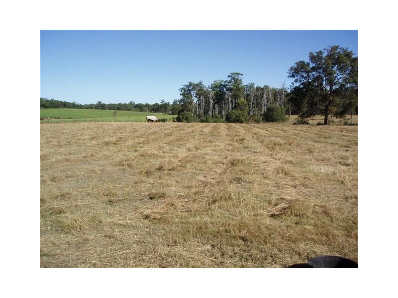 52 Three Mile Road East, Tinana QLD 4650