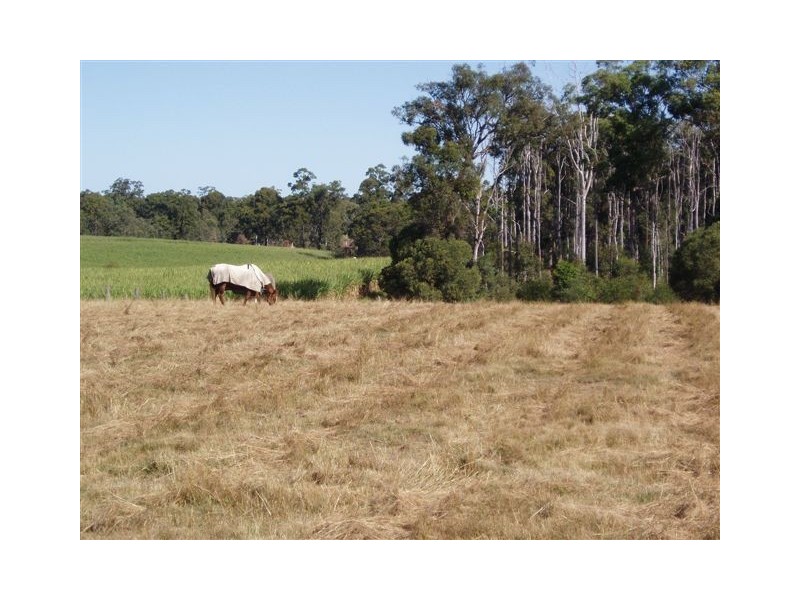 52 Three Mile Road East, Tinana QLD 4650