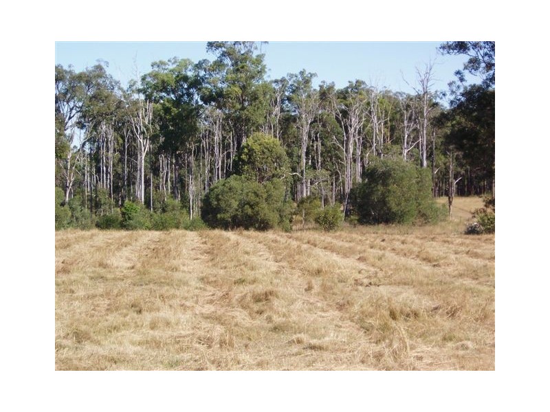 52 Three Mile Road East, Tinana QLD 4650