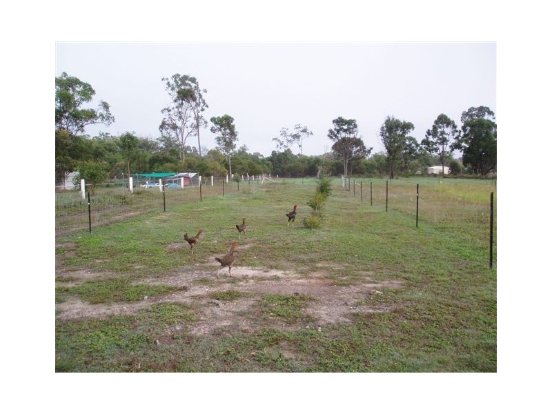 75 Barlow, Maryborough West QLD 4650