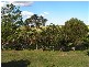 391 Island Plantation, Maryborough QLD 4650