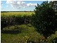 391 Island Plantation, Maryborough QLD 4650