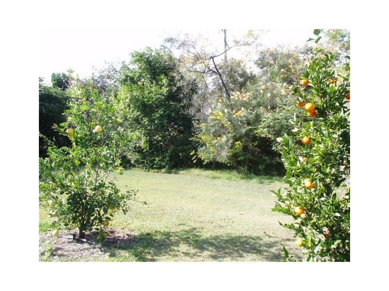511 Talegalla Road, Bauple QLD 4650