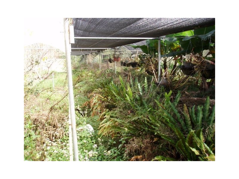 511 Talegalla Road, Bauple QLD 4650