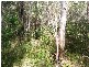 Lot 201 Harris Road, Mungar QLD 4650