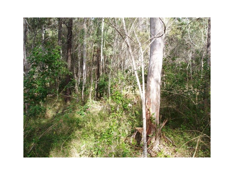 Lot 201 Harris Road, Mungar QLD 4650