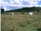 Lot 6 Glenbar Road, Maryborough West QLD 4650