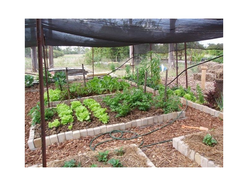 285 Owanyilla Road, Tiaro QLD 4650