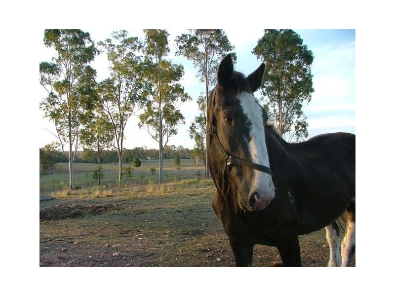 285 Owanyilla Road, Tiaro QLD 4650