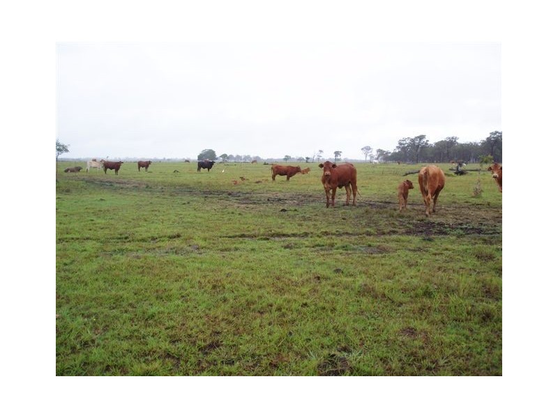 Lot 1 Vanderwolf Road, Nikenbah QLD 4655