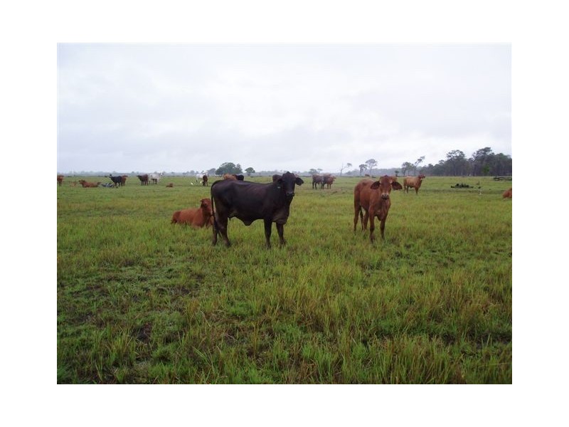 Lot 1 Vanderwolf Road, Nikenbah QLD 4655