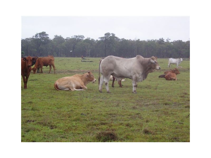 Lot 1 Vanderwolf Road, Nikenbah QLD 4655