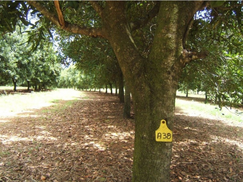 Maryborough West QLD 4650