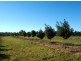 Maryborough West QLD 4650