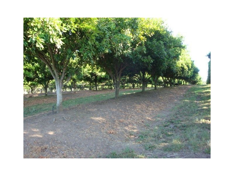 Maryborough West QLD 4650